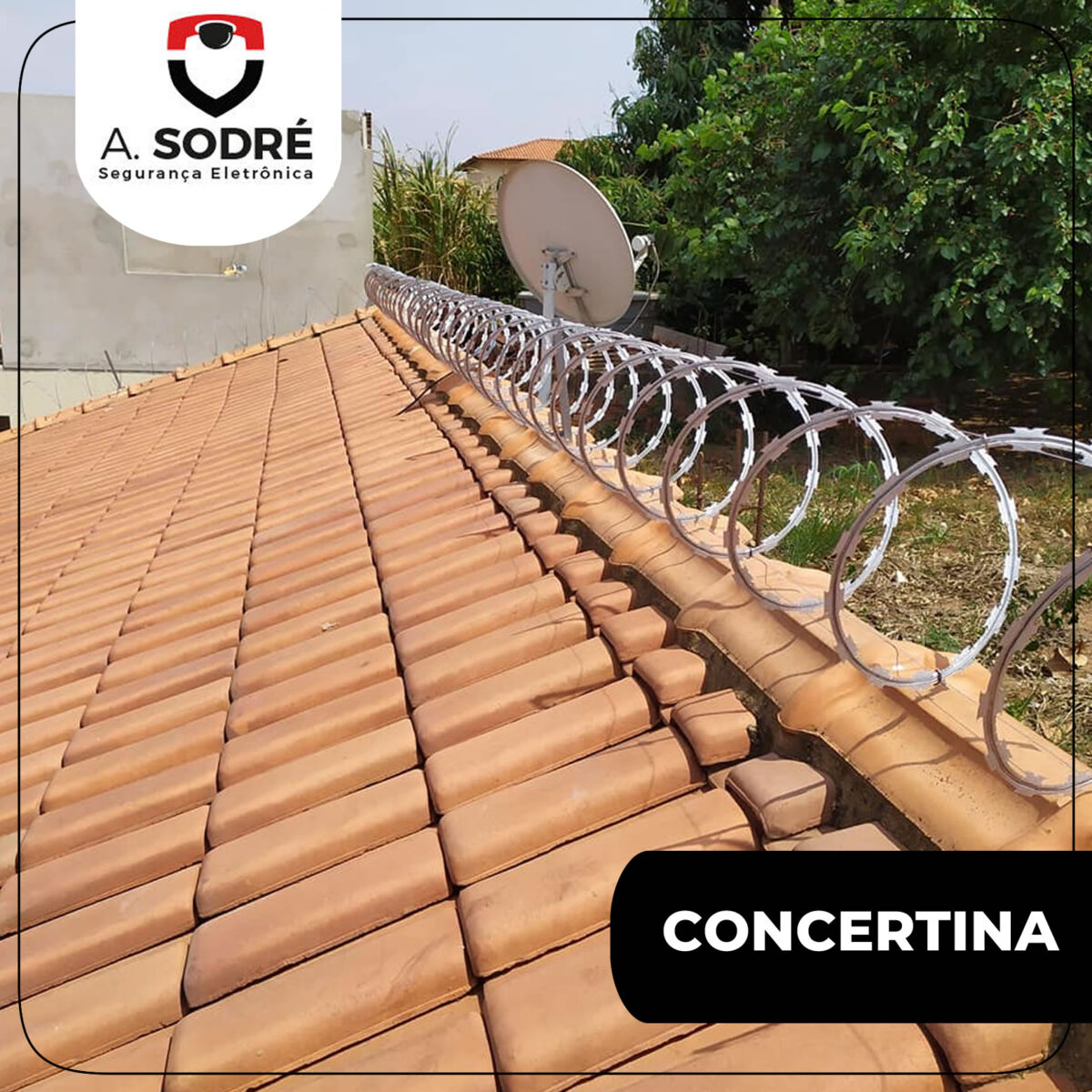 Concertina