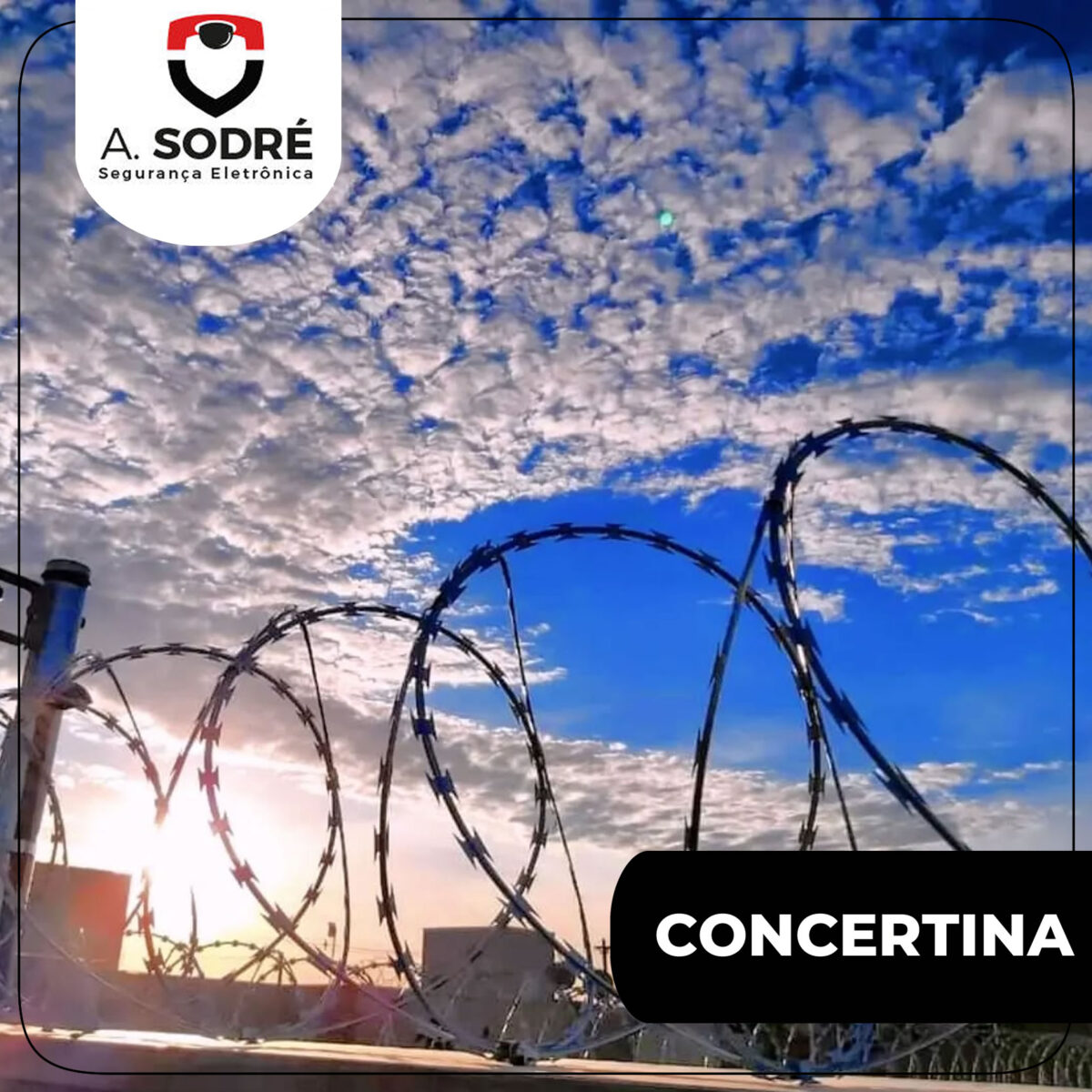 Empresa de Concertina em SP